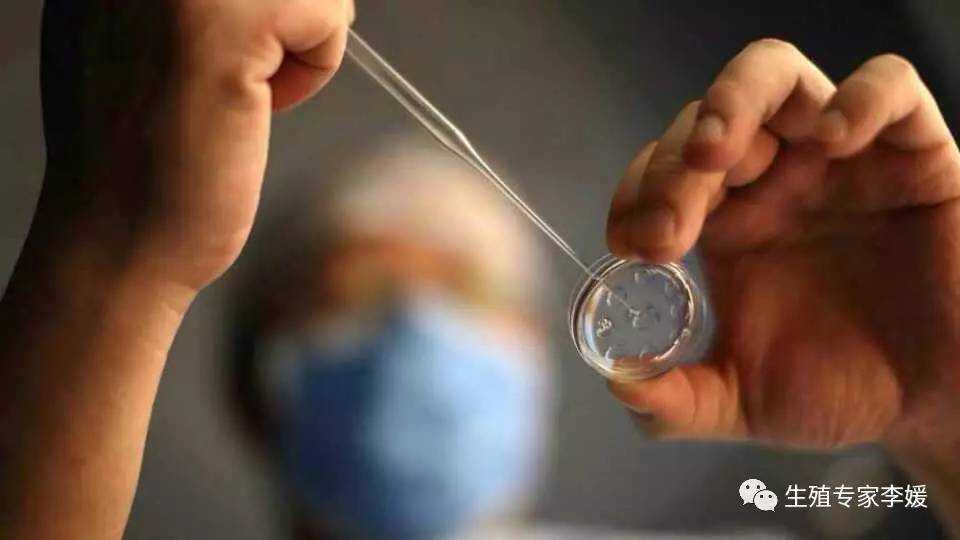 温州供卵试管婴儿出生的宝宝健康吗？别被误导